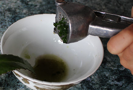 Получение сока каланхоэ Сок каланхоэ