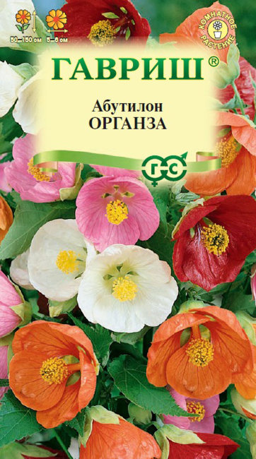 Семена и сорта абутилона
