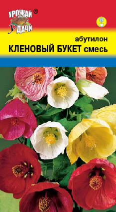 Семена и сорта абутилона
