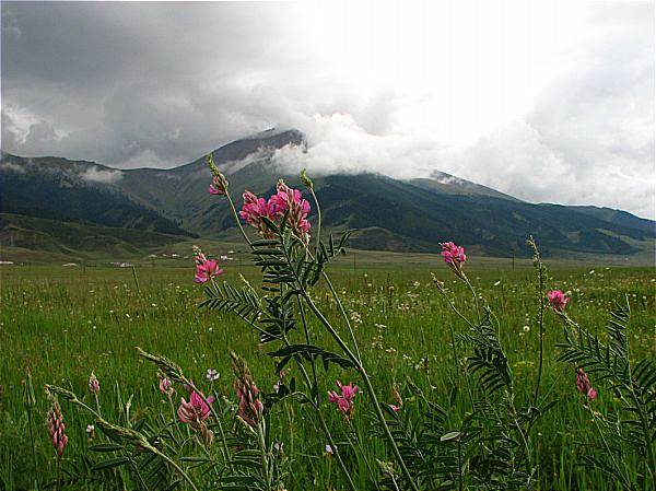 Эверсмания