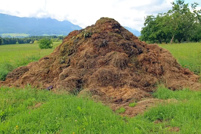 Composting Methods at Home: Comprehensive Guide