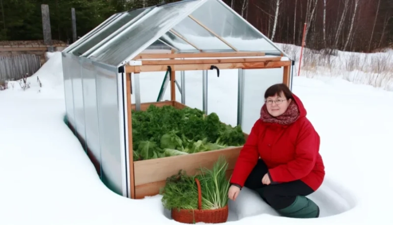 Introduction to Sustainable Gardening: Comprehensive Guide