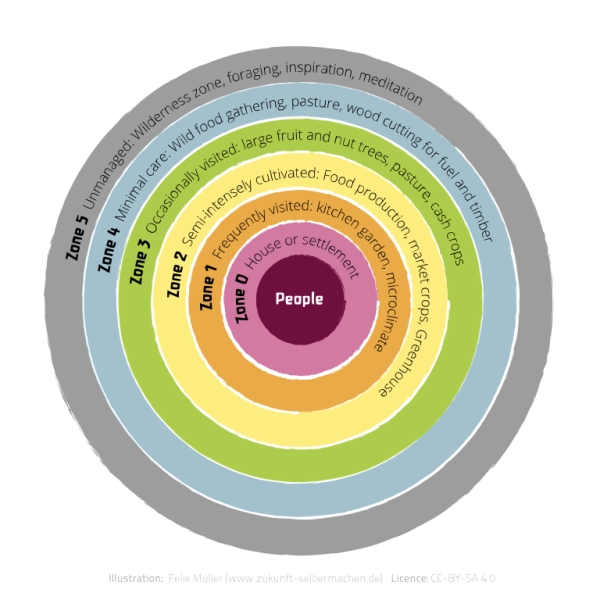 Introduction to Sustainable Gardening: Comprehensive Guide