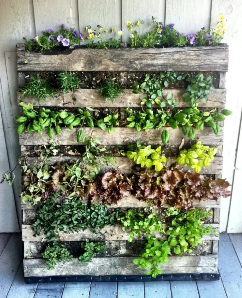 Introduction to Sustainable Gardening: Comprehensive Guide