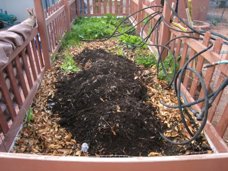 Introduction to Sustainable Gardening: Comprehensive Guide