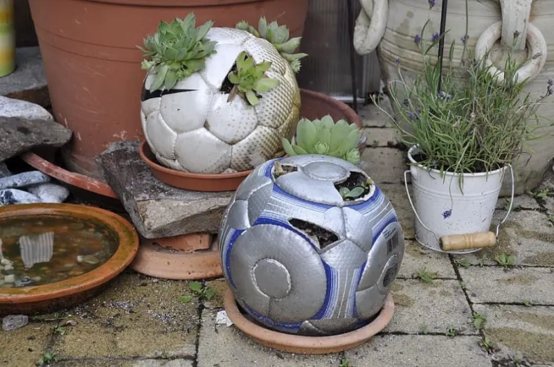 Introduction to Sustainable Gardening: Comprehensive Guide