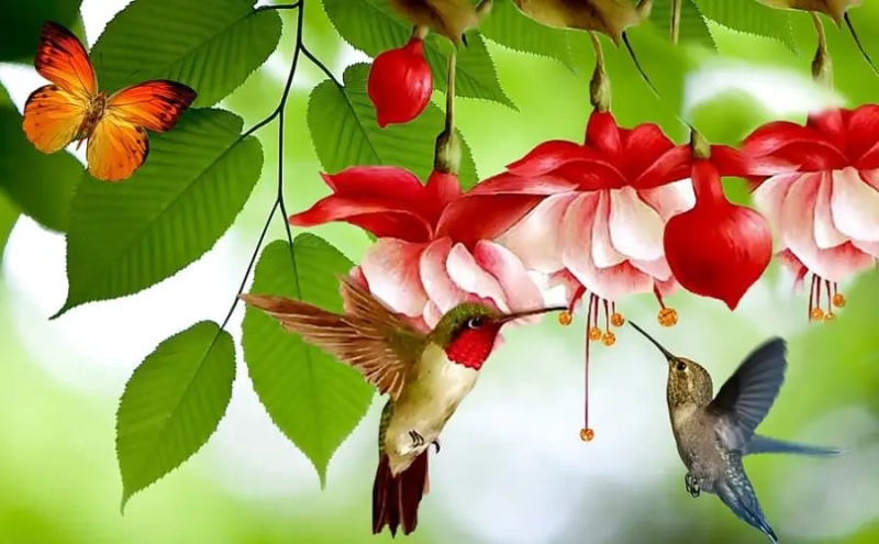 Wildlife Friendly Gardening 5 Easy Wildlife Garden Ideas