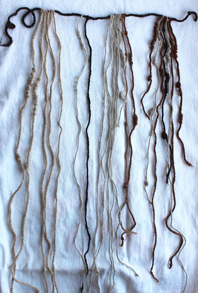 A 104-centimeter-long hair could rewrite recordkeeping in Inca society