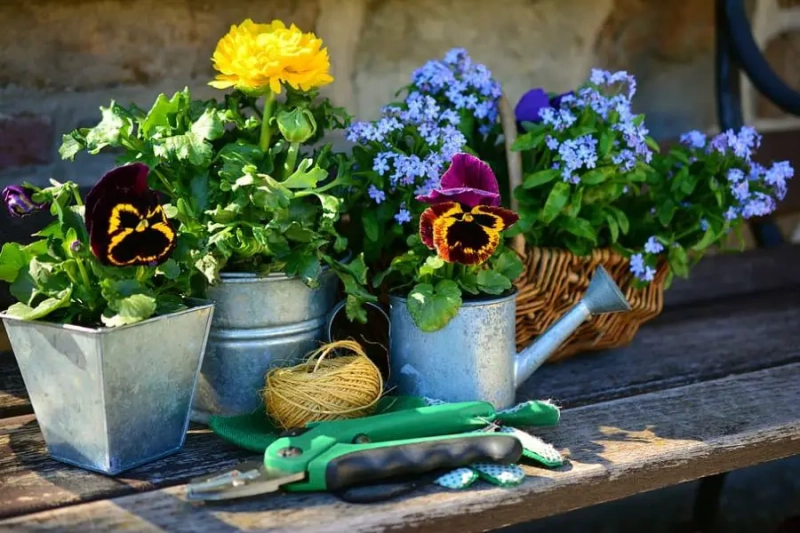 Introduction to Sustainable Gardening: Comprehensive Guide