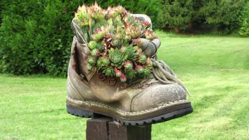 Basics of Sustainable Gardening Practices: 24 Tips and Tricks