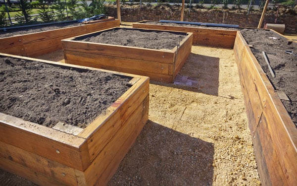 Raised Bed Gardening 101