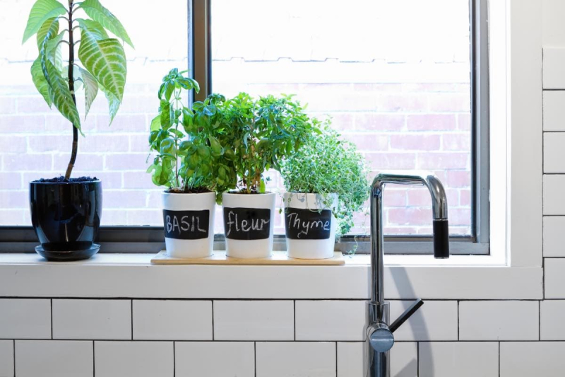 Ultimate Beginner’s Guide to Growing Herbs Indoors