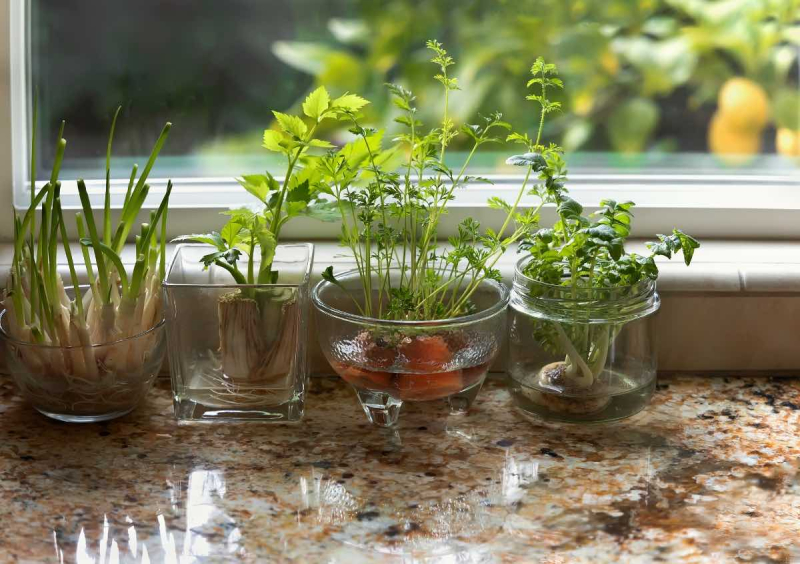 Ultimate Beginner’s Guide to Growing Herbs Indoors