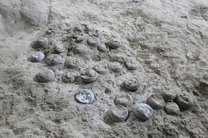 Crystallized dino eggs provide a peek into the tumultuous Late Cretaceous