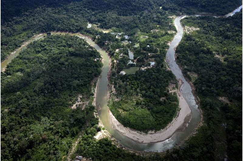 Ashaninka's territory sits along the winding Amonia River in Acre state, Brazil, June 22, 2024. Credit: AP Photo/Jorge Saenz, File