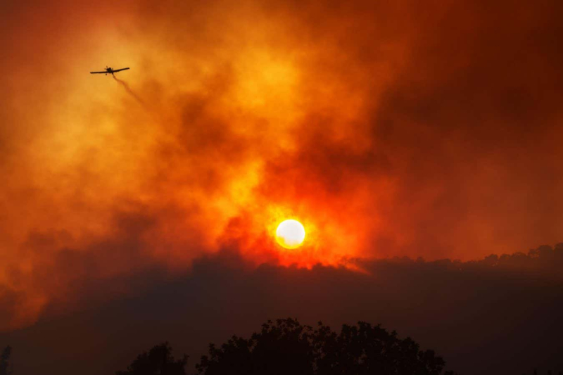 One of Earth’s most vital carbon sinks is faltering. Can we save it?