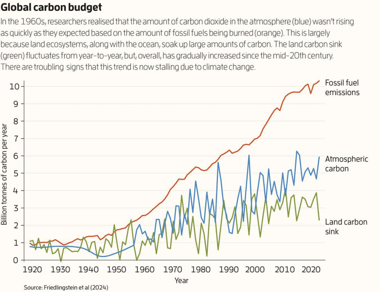 One of Earth’s most vital carbon sinks is faltering. Can we save it?