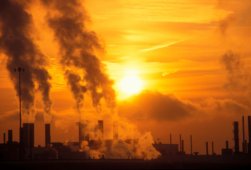 'We're precipitating an extermination rather than an extinction event'