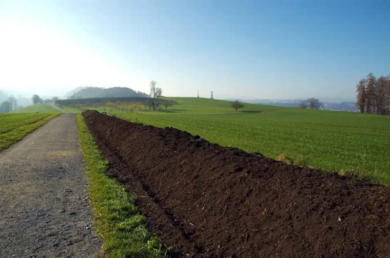 What Not to Compost and Why: 10 Big Composting No Nos