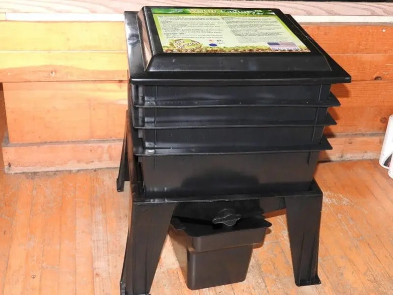 Setting Up a Worm Compost Bin: 3 Big Reasons Why