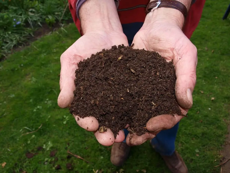 Composting 101: What Can Be Composted? Avoid These