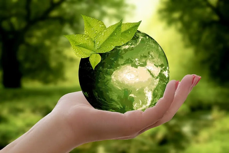 Composting 101: What Can Be Composted? Avoid These