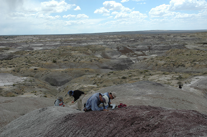 Dinosaurs were thriving before the asteroid hit, new analysis suggests