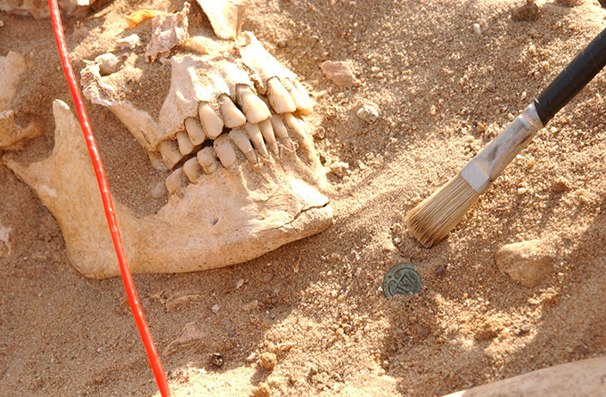 Napoleon’s retreating army may have been plagued by these microbes