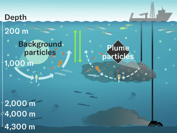 Deep-sea mining might feed plankton a diet of junk food