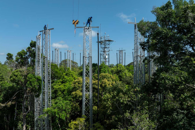 Testing the Amazon's ability to soak up increasing carbon emissions
