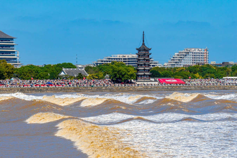 2025's best photos of the natural world, from volcanoes to icebergs