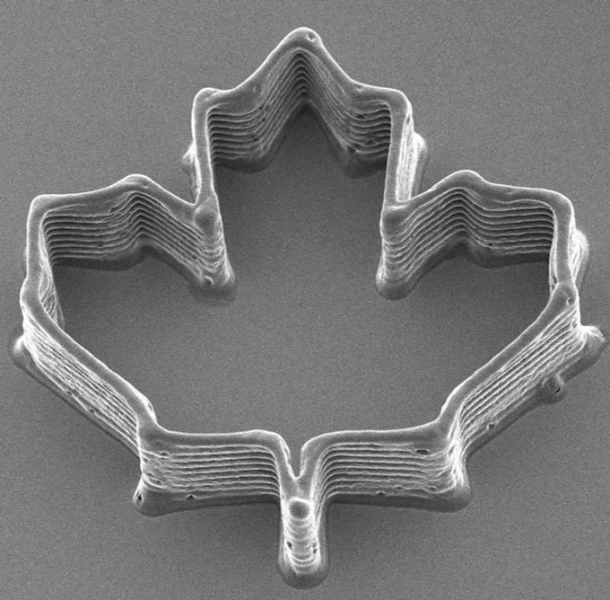 Mosquitos use it to suck blood. Researchers used it to 3-D print