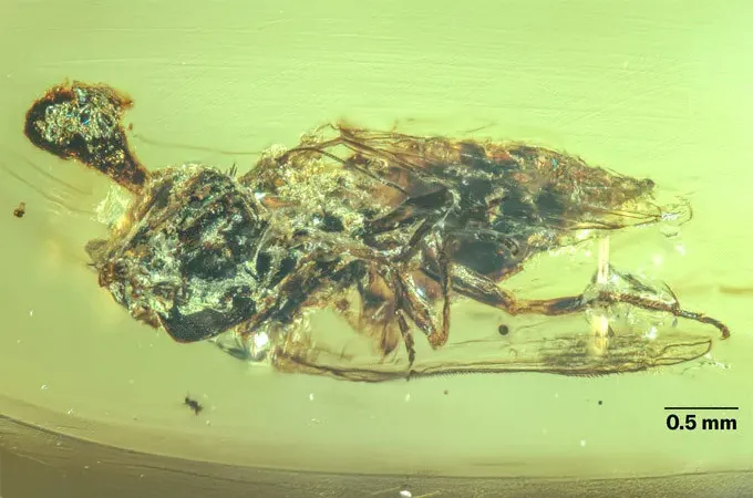 These fossil finds shed new light on the past in 2025