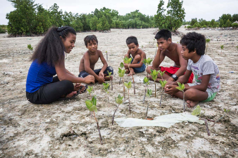 The Pacific Islanders fighting to save their homes from catastrophe