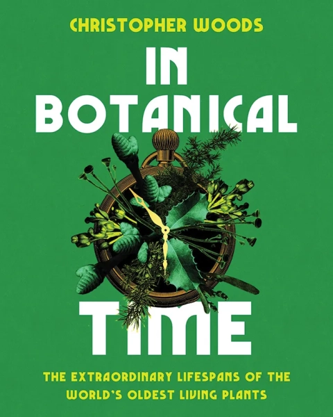 'In Botanical Time' explores the ways Earth’s oldest plants cheat death