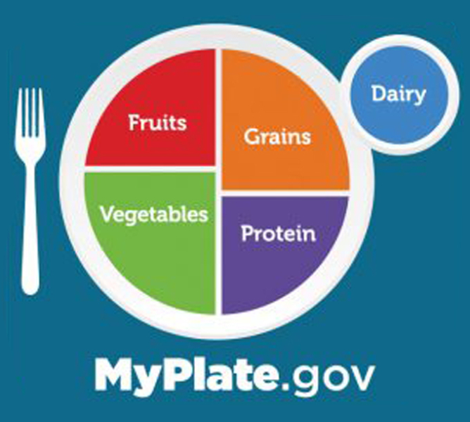 New dietary guidelines flip the food pyramid