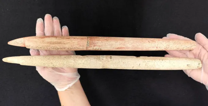 Whaling may have started 1,500 years earlier than already known