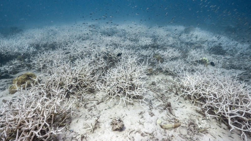 Превышение: мир приближается к точке невозврата в отношении климата