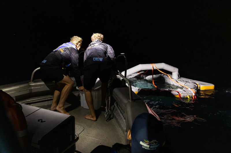 В рамках исторических усилий по сохранению Большого барьерного рифа