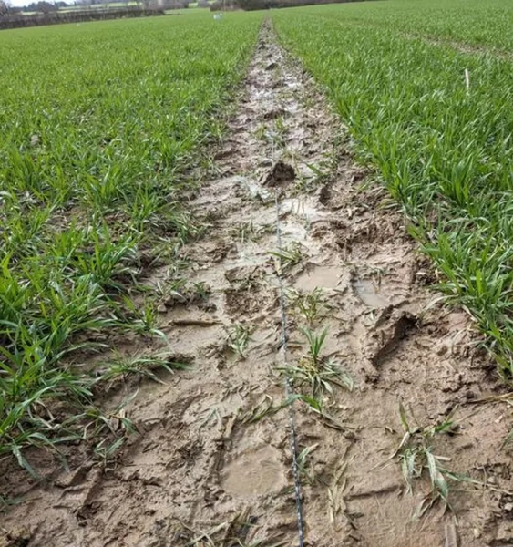 Heavy tilling can leave land susceptible to floods, droughts