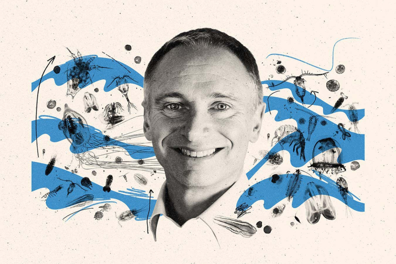 Oceans are darkening all over the planet – what’s going on?