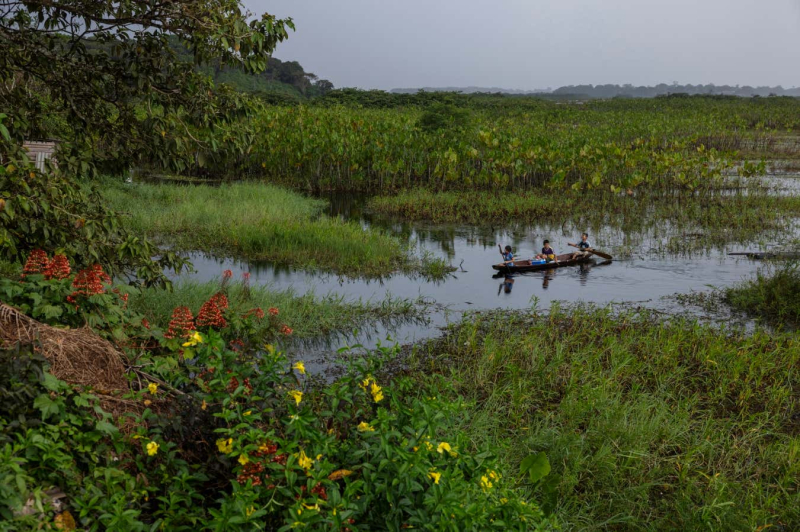 Stark photos show quest for profit cutting swathes through the Amazon