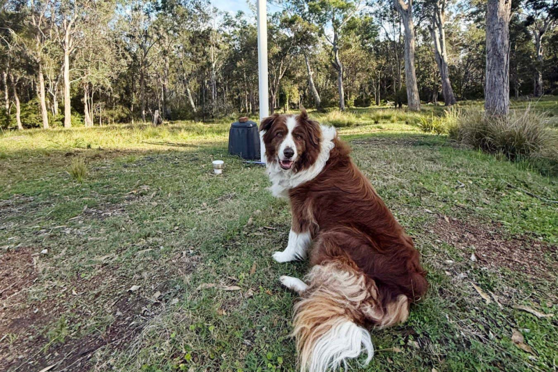 How a DIY worm farm can compost food scraps, paper or a whole kangaroo