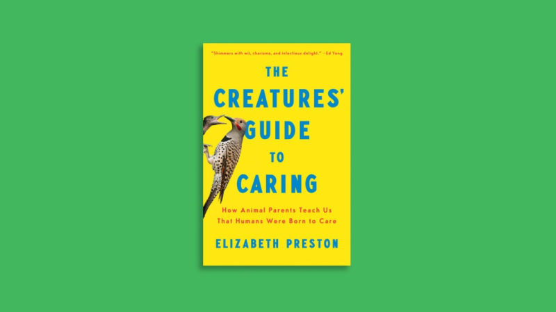 A new book finds parenting inspiration in the animal kingdom