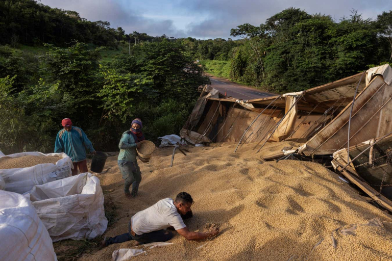 Stark photos show quest for profit cutting swathes through the Amazon