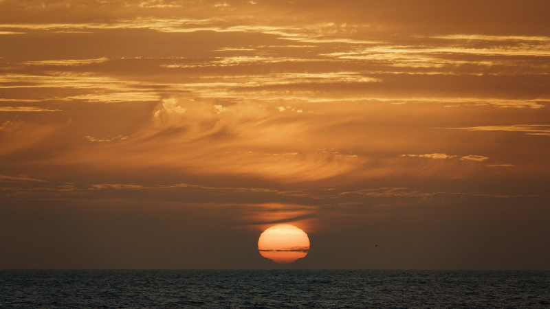 Океан – это карбоновый туалет. Морские тепловые волны засоряют его.