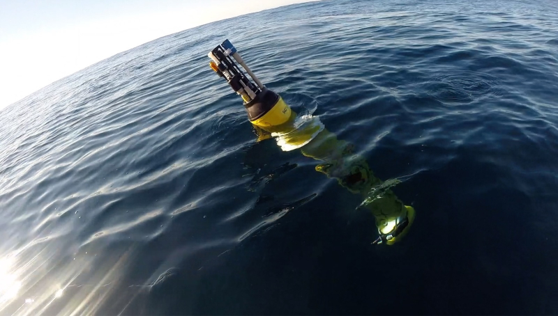 Океан – это карбоновый туалет. Морские тепловые волны засоряют его.