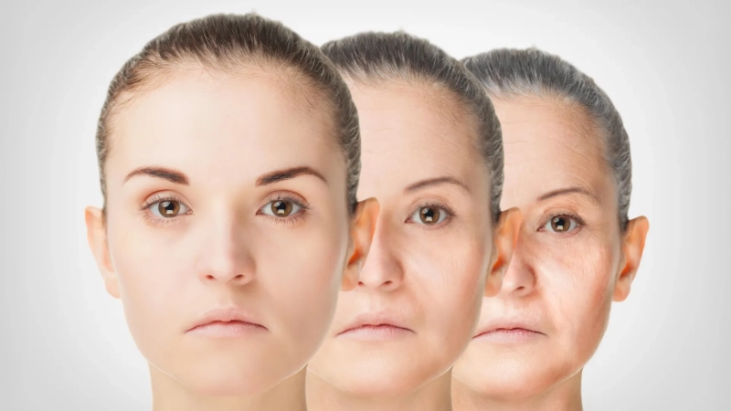 Scientists may have found a shortcut to calorie restriction's anti-aging benefits